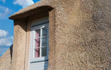 Setley thatch roof disadvantages